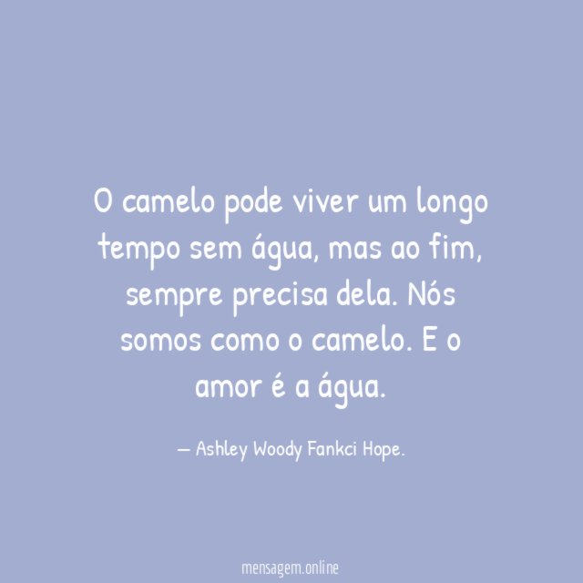 O camelo pode viver um longo tempo sem água