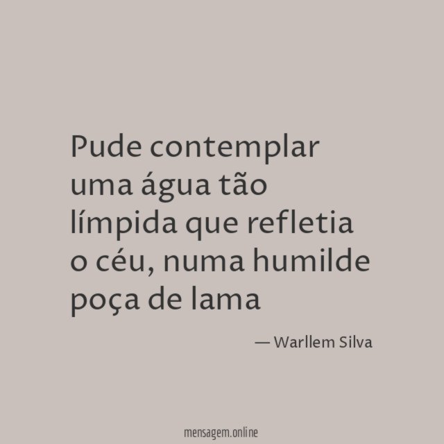 Pude contemplar uma água tão límpida que refletia