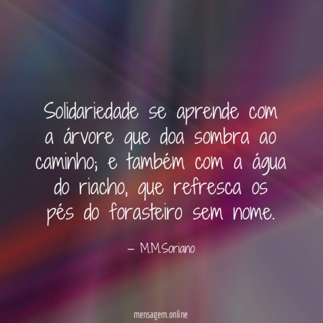 Solidariedade se aprende com a árvore que doa sombra ao caminho