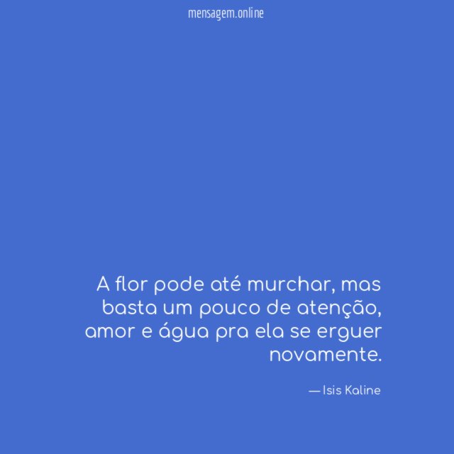 A flor pode até murchar