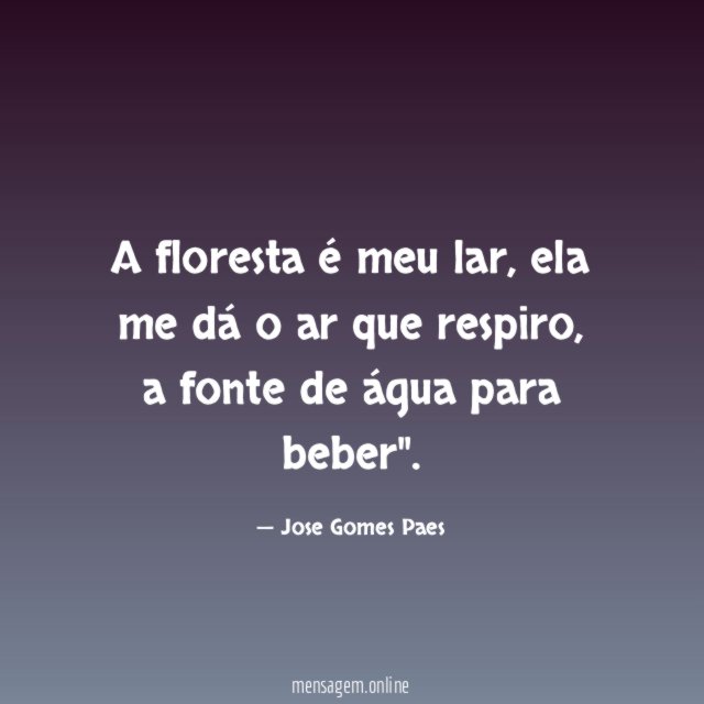 A floresta é meu lar