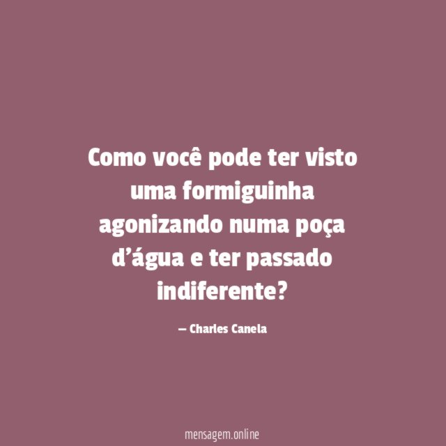 Como você pode ter visto uma formiguinha agonizando