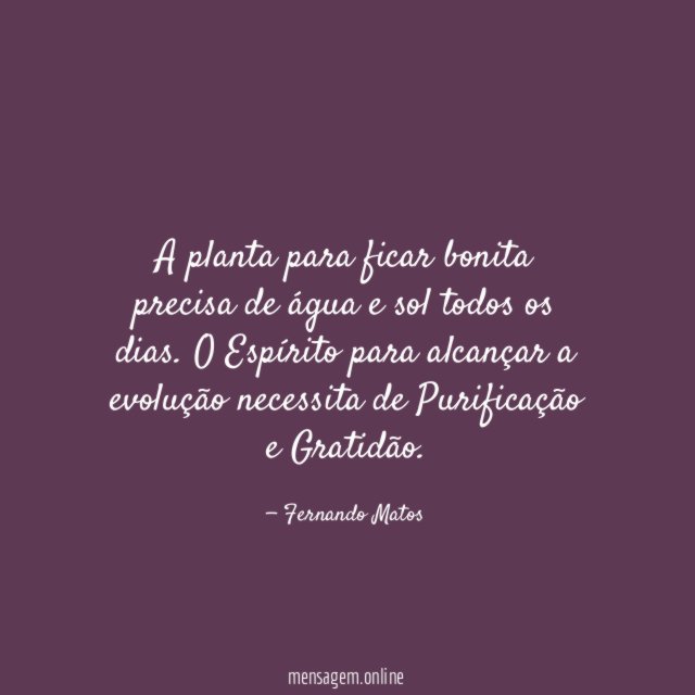 A planta para ficar bonita precisa de água