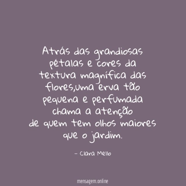 Atrás das grandiosas pétalas e cores da textura