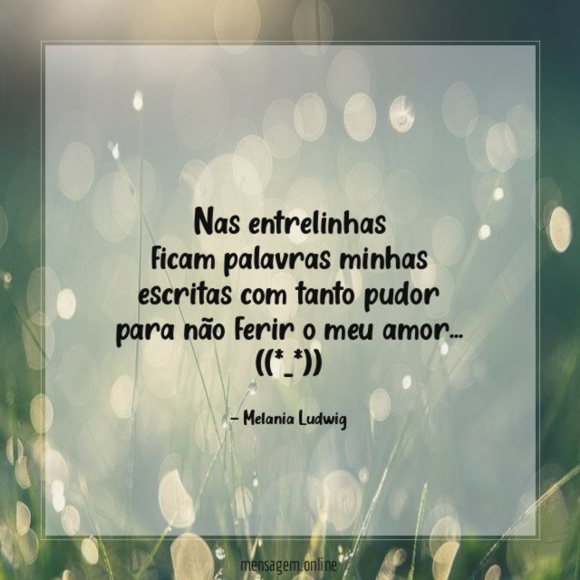 Nas entrelinhas
ficam palavras minhas
escritas com tanto pudor
para não ferir o meu amor…