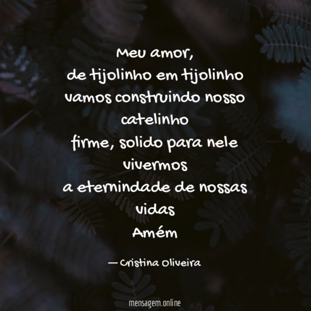 Meu amor
