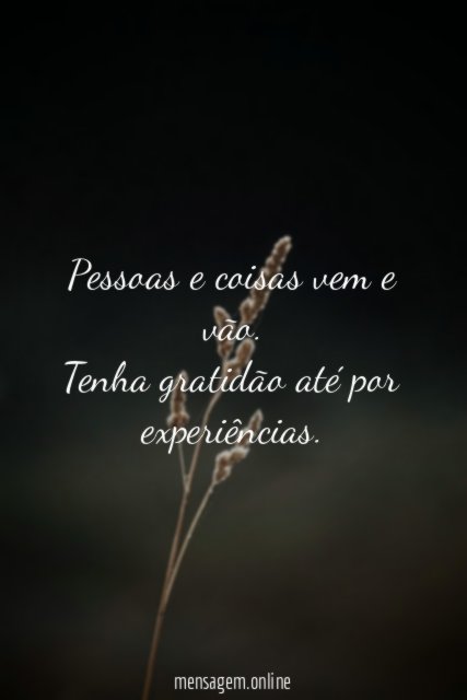 Agradeça as experiências