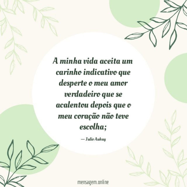 A minha vida aceita um carinho indicativo que