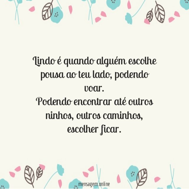 Lindo é quando…
