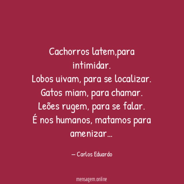 Cachorros latem
