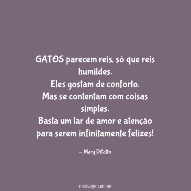 GATOS parecem reis