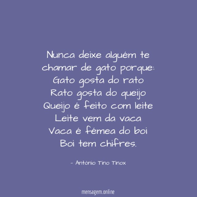 Nunca deixe alguém te chamar de gato porque