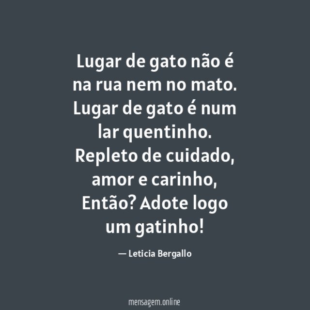 Lugar de gato não é na rua nem no mato
