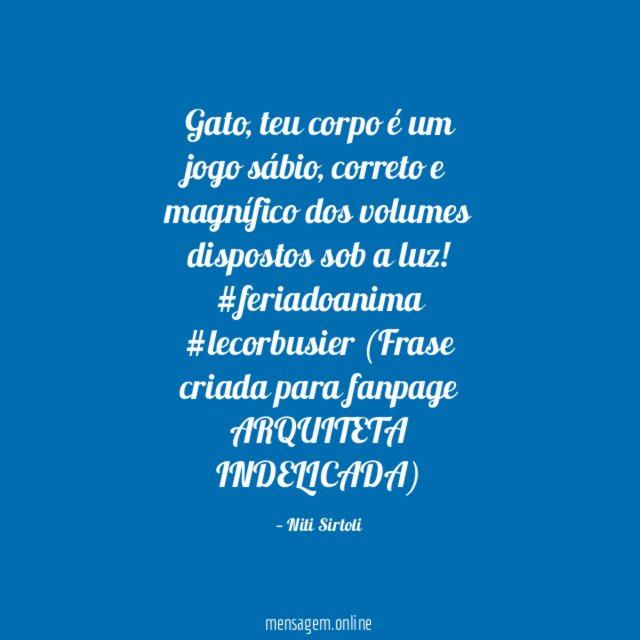 Gato, teu corpo é um jogo sábio, correto e magnífico dos volumes dispostos sob a luz! #feriadoanima #lecorbusier