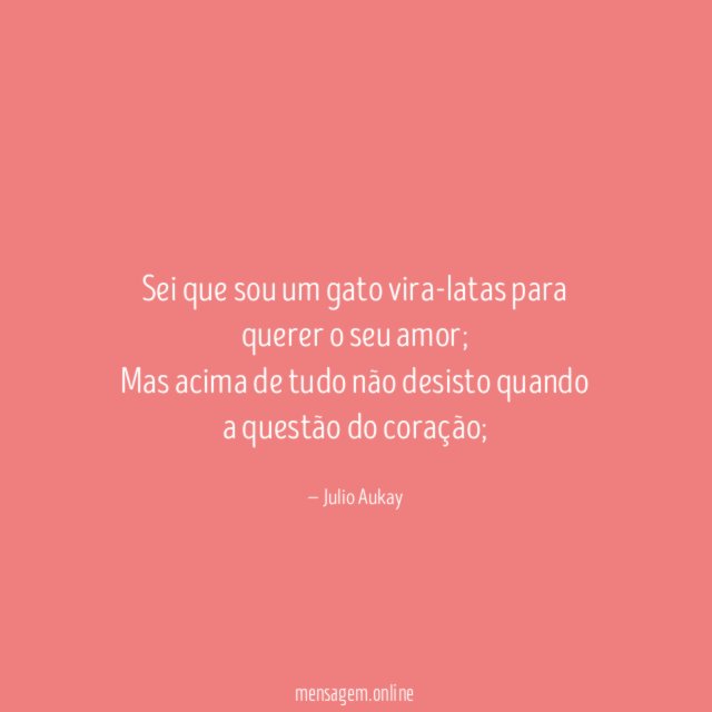 Sei que sou um gato vira-latas para querer o seu amor