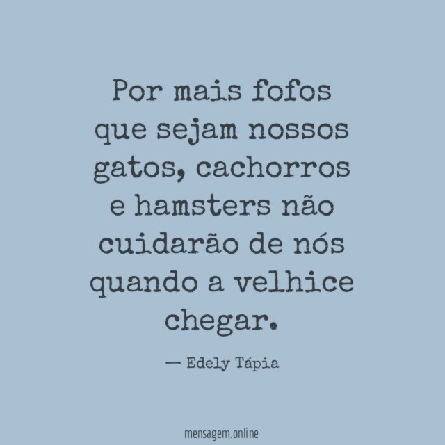 Por mais fofos que sejam nossos gatos