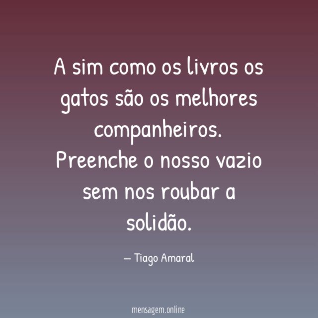A sim como os livros os gatos são os melhores companheiros