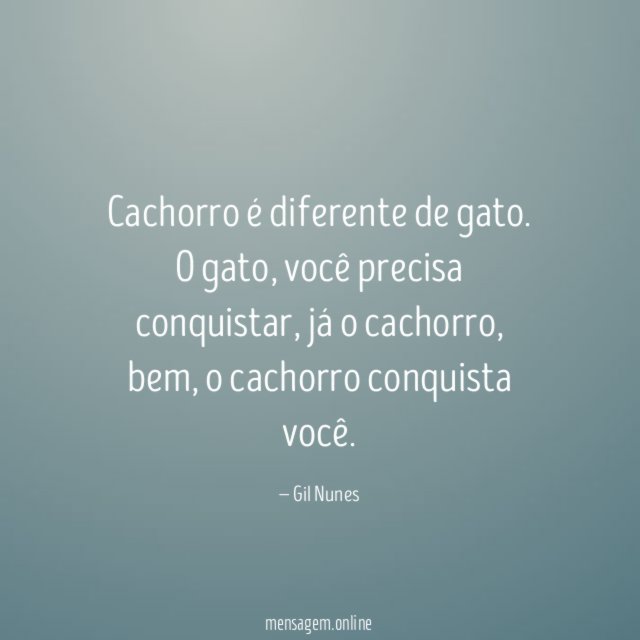 Cachorro é diferente de gato
