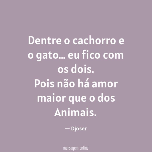 Dentre o cachorro e o gato