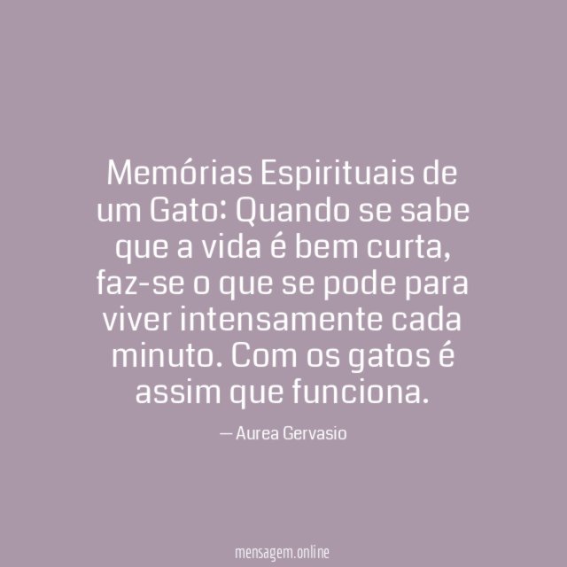 Memórias Espirituais de um Gato