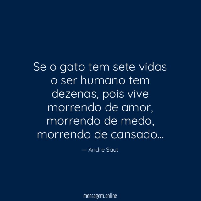 Se o gato tem sete vidas o ser humano tem dezenas