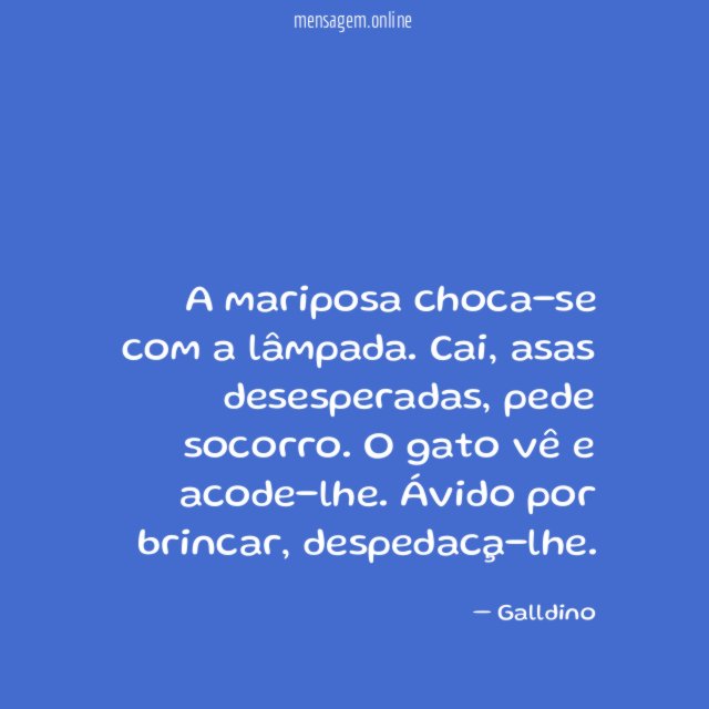 A mariposa choca-se com a lâmpada
