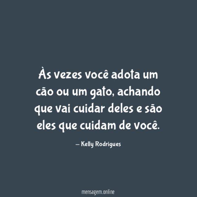 Às vezes você adota um cão ou um gato