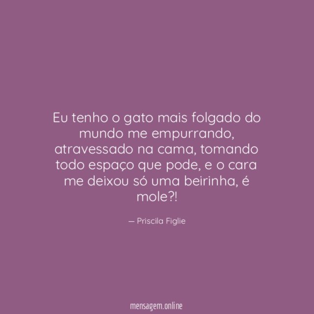 Eu tenho o gato mais folgado do mundo me empurrando