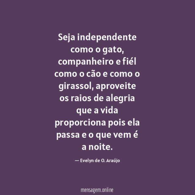 Seja independente como o gato