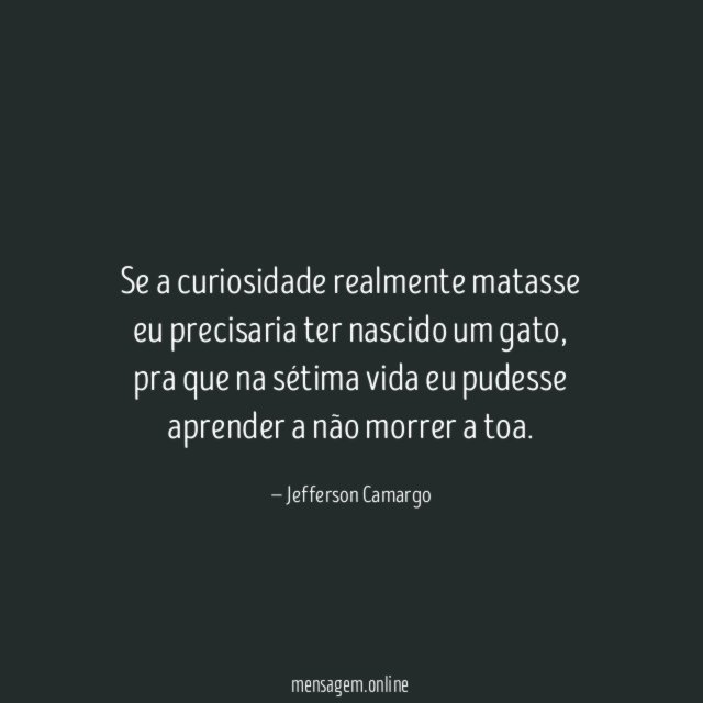 Se a curiosidade realmente matasse eu precisaria ter nascido um gato