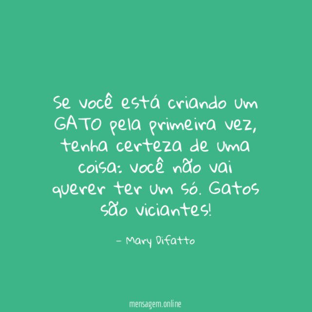 Se você está criando um GATO pela primeira vez