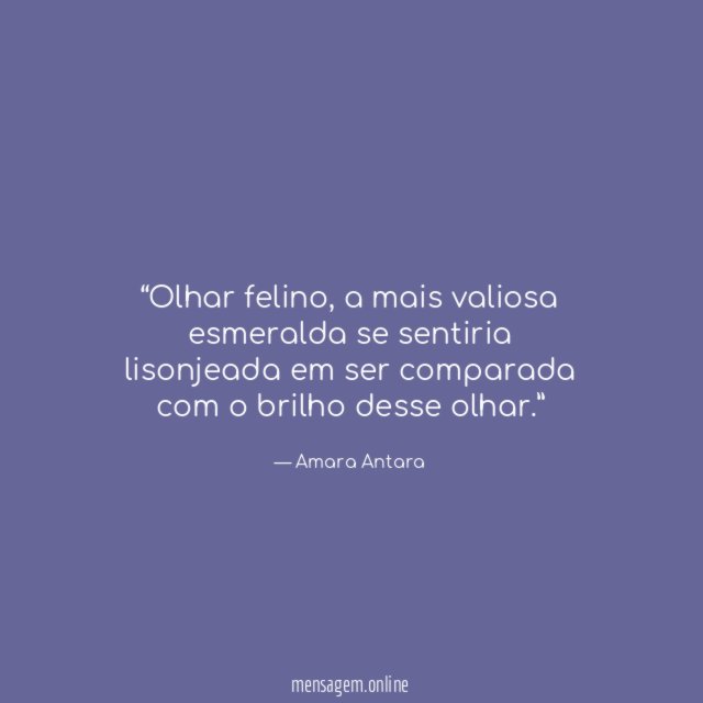 Olhar felino