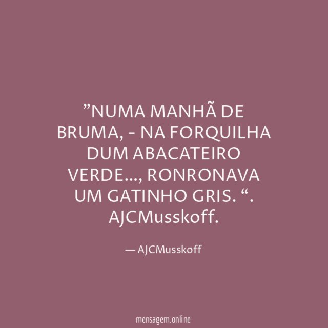 ”NUMA MANHÃ DE BRUMA