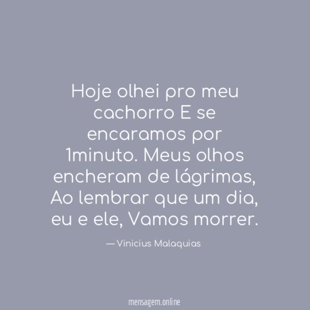 Hoje olhei pro meu cachorro E se encaramos por 1minuto
