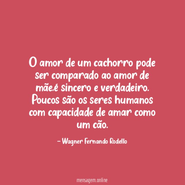O amor de um cachorro pode ser comparado