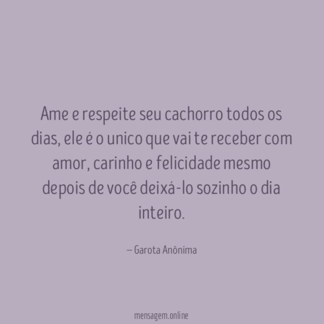 Ame e respeite seu cachorro todos os dias