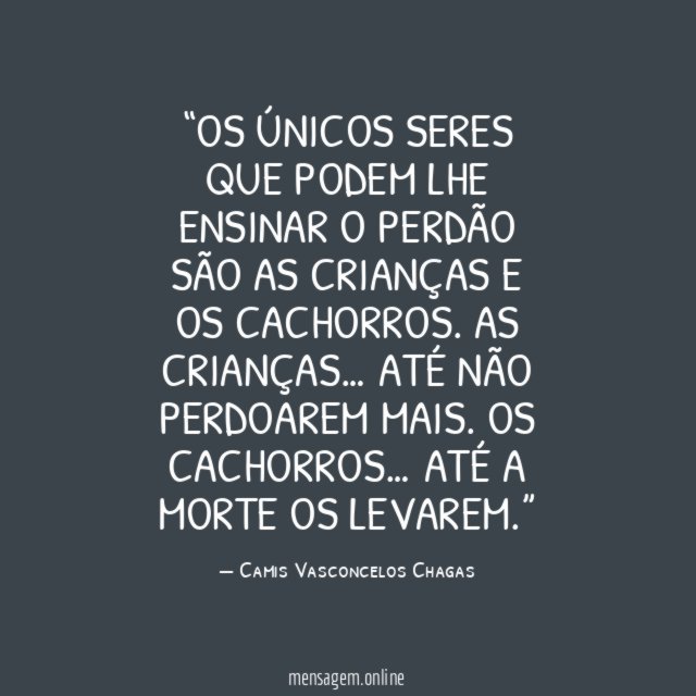Os únicos seres que podem lhe ensinar