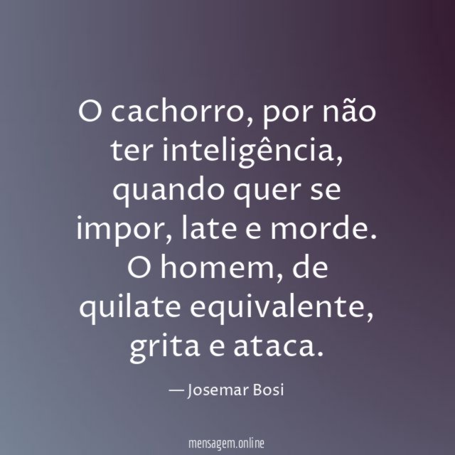 O cachorro