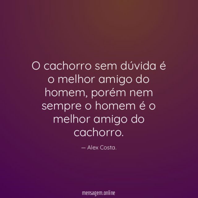 O cachorro sem dúvida é o melhor amigo do homem