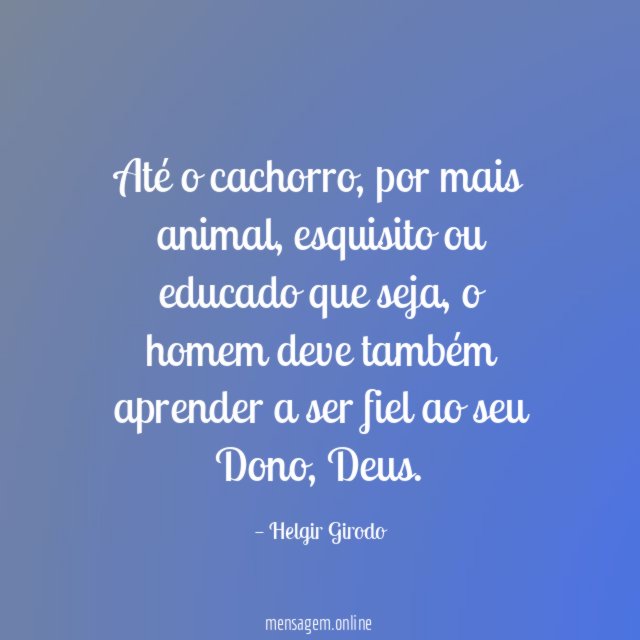 Até o cachorro