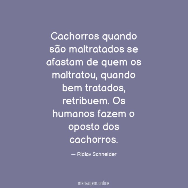 Cachorros quando são maltratados se afastam de quem os maltratou
