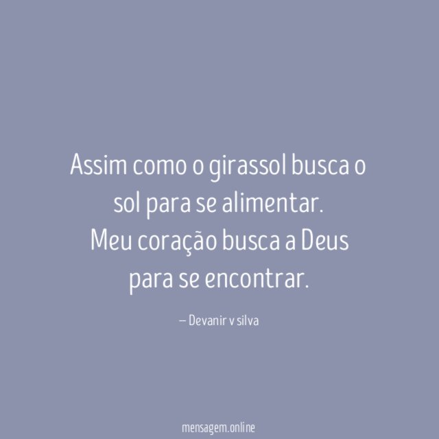 Assim como o girassol busca o sol para se alimentar