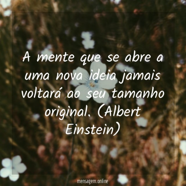 Novas ideias