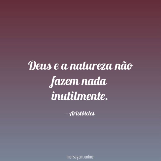 Deus e a natureza não fazem nada inutilmente