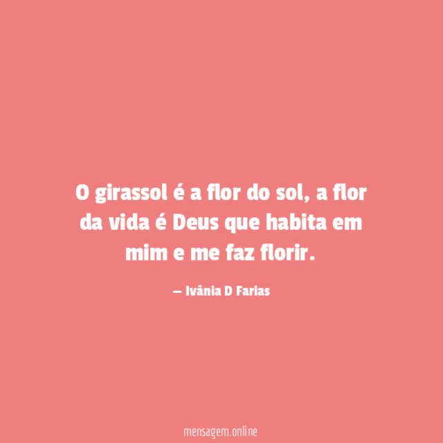 O girassol é a flor do sol