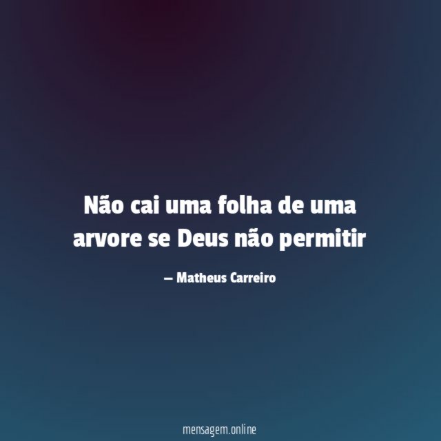 Não cai uma folha de uma arvore se