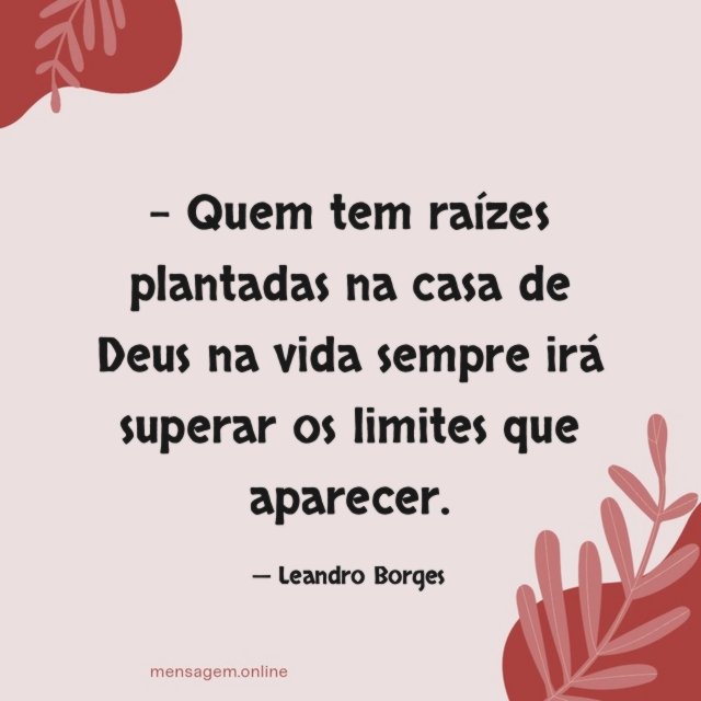 Quem tem raízes plantadas na casa de