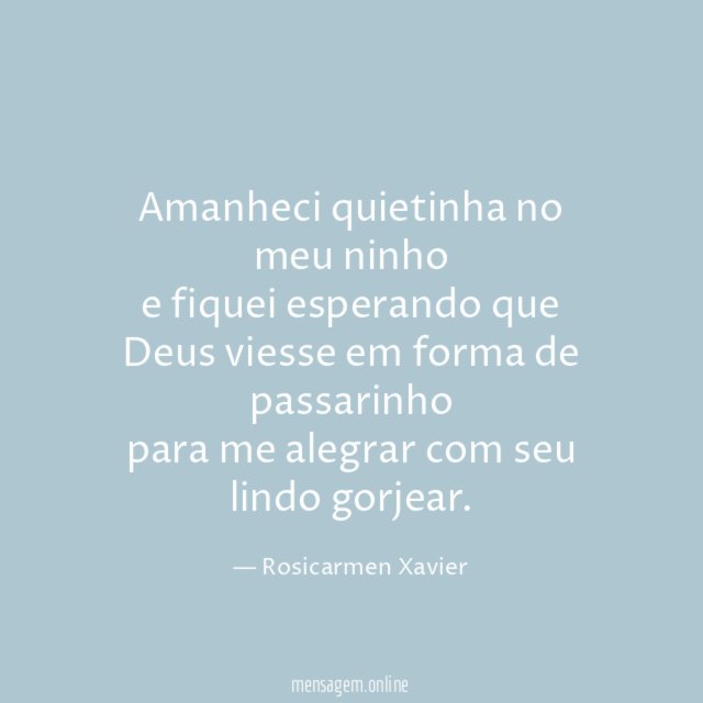 Amanheci quietinha no meu ninho e fiquei esperando que