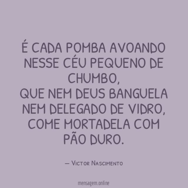 é cada pomba avoando nesse céu pequeno de chumbo