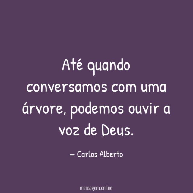 Até quando conversamos com uma árvore